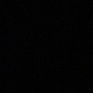 Meet your Posher, Nelson